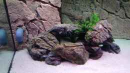 Video malawi von ehemaliger User (EfLogrOQ1uA)