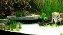 Video video 1 von Marina (Eki6OjZ94Qo)