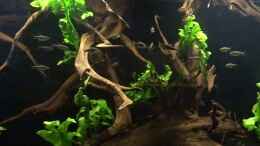 Video Gesamtansicht von ehemaliger User (EqWbxYSfvX8)