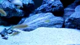 Video 13.02.2016 von Burak K. (Eq_Gs9Y2kmk)