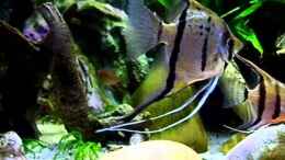 Video New Underworld Teil 2 von snooze (FFzWWwD58_A)