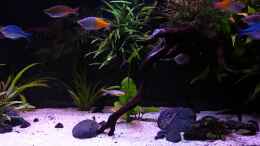 Video Video von Einrichtungsbeispiele.de von wsc (FlnT59CMtBM)