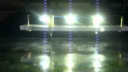 Video Technik von chrisi01 (Fzx90t1F-Eo)