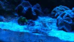 Video Video von Einrichtungsbeispiele.de von ehemaliger User (G2UScI0zXG0)