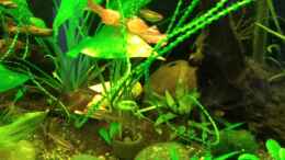 Video Sonntagsnachmittagsruhe von Kathrin77 (GLDJ79_WfxE)