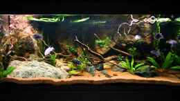 Video Vordergrundbeleuchtung 100% von GoreSlayer (GWmF8qi06ew)