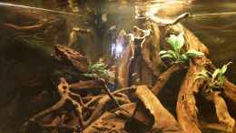 Video Ladigesia in Aktion von ehemaliger User (GZz1wFsAndM)