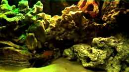 Video Mein Malawibecken von Erwin12 (GaO3TOt-5uI)