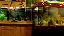 Video Aquariumanlage mit 3920 Liter von Ulrich Sauerhering (GkVriY7GrNE)