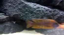 Video 360° Malawi von 360° Malawi (H-HkwwrQT-M)