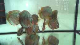 Video Disken in Quarantäne von ~Marco~ (HFbjMvHJSAg)