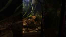 Video Wasserwechselspektakel von NaMo (HKHEym-9qqM)