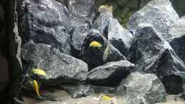 Video First Malawi 2 von Stefan von Oettingen (HdOW6YNK5J8)