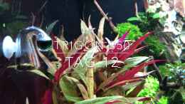 Video Tag 12 von Sergio Bandeiras (HhgEvzf1OC0)