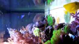 Video Mein kleines Riff von links von Johannes 88 (HndemMMqXns)