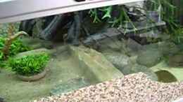 Video Meine Schlammis 2 von Kulleraugen-Fan (Hopl2Q00IJA)