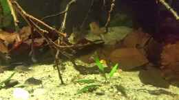 Video Kurzer Ausschnitt von ManiacXL (I8-xJJFvkrQ)