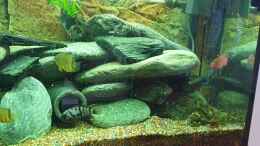 Video Fütterungszeit von ehemaliger User (IBQuw8BO3ZY)