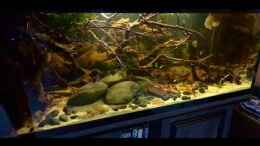 Video Mittags von NaMo (IF0golIOHkw)