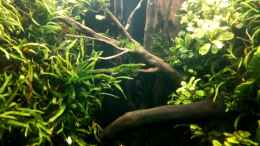 Video ??bersicht 09.06.2919 von ehemaliger User (InWP8npMvmA)