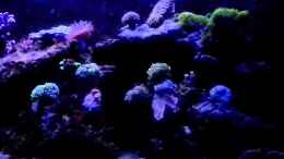 Video Gewitter mit Donner von Tim1979 (IwU5eApR5rI)