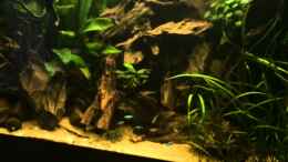 Video L66 von ehemaliger User (J-N0C6VzckU)