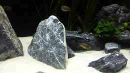 Video Panoramaschwenk von Elsiman (JCMMLeWyJhw)