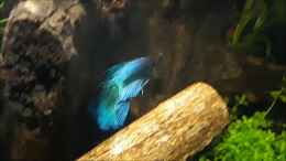 Video Die Höhle von Michael Müller (JERHMoW8se8)