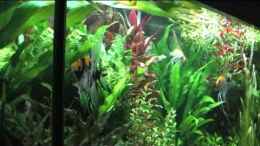 Video Skalare von Ralf64 (JOfWGthzh3I)