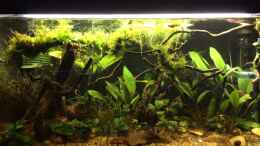 Video Abenddämmerung in West/Zentralafrika von herkla (JPdR97B31dY)