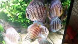 Video Video von Einrichtungsbeispiele.de von master-marko (JYZGPxb0C8c)