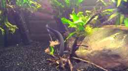 Video Video von Einrichtungsbeispiele.de von Rabunz3l (JophZeoIceE)