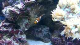 Video Video von Einrichtungsbeispiele.de von urbi (K2G5AsspLU8)