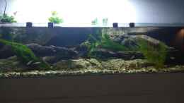 Video Strömungsbecken mit Regenbogenelritzen von pacho (K3ljA1CaatY)