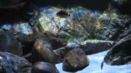 Video Mein Malawitank von Strücher Jung (K5Ylqo8vA9o)