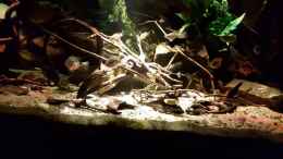 Video Video von einrichtungsbeispiele.de von Leo-FAN (K65tc450HT4)