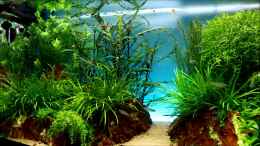 Video Little Asia von Bjarke (K7OtOTAv45c)