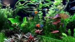 Video 360 Liter von Thomas Brandt (K9uerdLR4zg)