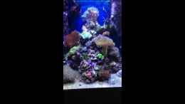 Video 125l Cube von MW Luca (KGUQTx5Zywo)