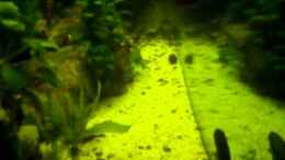 Video gesamteindruck von ehemaliger User (KGpMmJJkzdU)