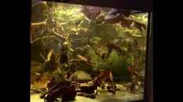 Video Seitenansicht von NaMo (KGputTvsaXU)