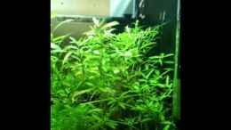 Video Toni-Nano-style von Tonistyle69 (KMehrjQl_Kk)