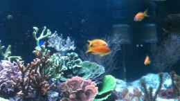 Video Video von Einrichtungsbeispiele.de von ehemaliger User (KWUnKrg7FH0)