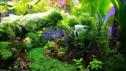 Video Impressions of Gaja III von Sebastian Hartmann (L0hVtIWUG14)