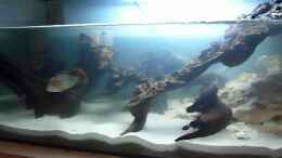 Video Einrichtungsbeispiele.de #1 Florian von Florian Abeln (LGTGFSQ17BA)