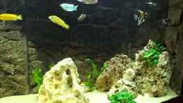 Video Malawi Becken 400l von Aspel82 (LJHHQbkXigw)