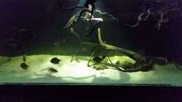 Video Leopoldi BD/Henlei   von Bernd N. (LgwreNwJn5Y)