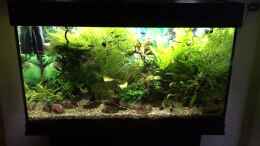 Video Unterwasserwelt im Großraum des Amazonas von herkla (LoKV10xMtsI)