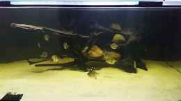 Video Leopoldi BD/Henlei     von Bernd N. (Lx_LBmjIaGE)