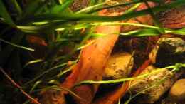 Video Video "Erosion" von der Theoretiker (LxlfKlAlk_M)